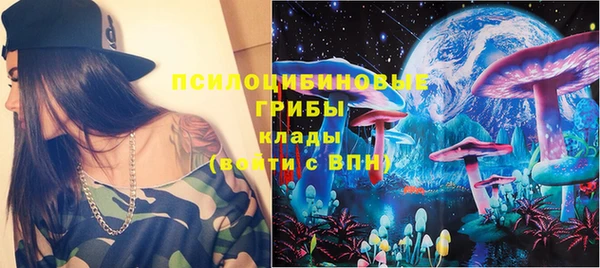 индика Верхний Тагил